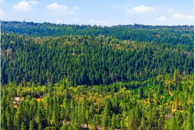 3520 Mining Brook Road, Placerville, CA 95667 - Photo 48