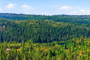 3520 Mining Brook Rd, Placerville, CA 95667 - Photo 48