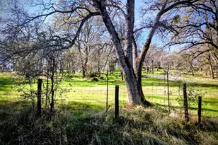 8226 McGanney, Smartsville, CA 95977 - Photo 8