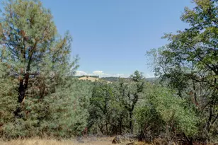 8226 McGanney, Smartsville, CA 95977 - Photo 36