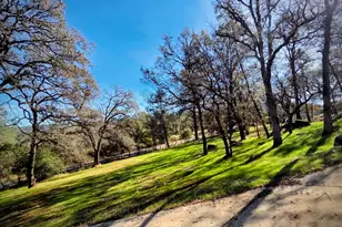 8226 McGanney, Smartsville, CA 95977 - Photo 92