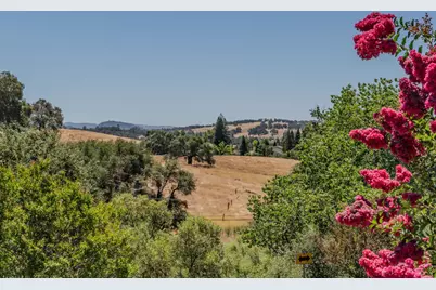 Rollingwood Drive #197, Jackson, CA 95642 - Photo 40