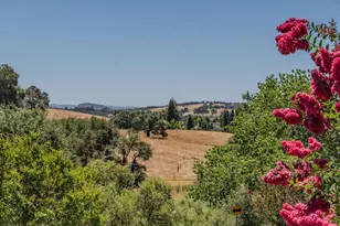 Rollingwood Dr, Jackson, CA 95642 - Photo 40