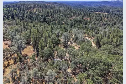 5271 Caprine Road, Greenwood, CA 95635 - Photo 42