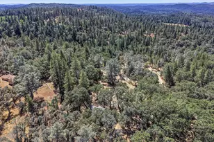5271 Caprine Rd, Greenwood, CA 95635 - Photo 42
