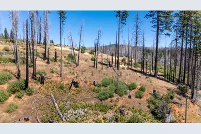 7191 Winding Way, Grizzly Flats, CA 95636 - Photo 8