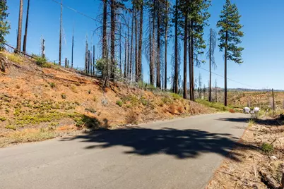 7191 Winding Way, Grizzly Flats, CA 95636 - Photo 2