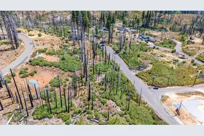 7191 Winding Way, Grizzly Flats, CA 95636 - Photo 6