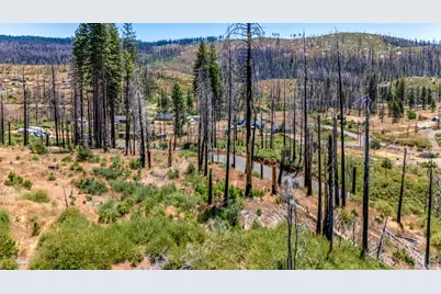 7191 Winding Way, Grizzly Flats, CA 95636 - Photo 4