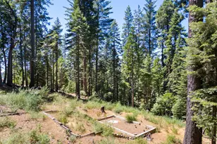 1704 Boro Ct, Arnold, CA 95223 - Photo 1