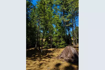 4701 Vogelsang Lane, Placerville, CA 95667 - Photo 10