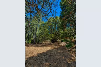 4701 Vogelsang Lane, Placerville, CA 95667 - Photo 12