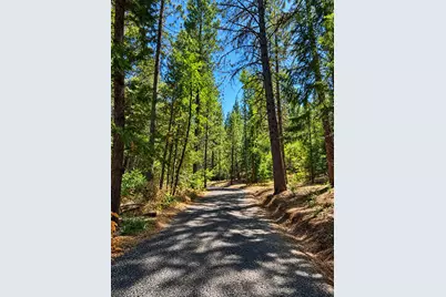 4701 Vogelsang Lane, Placerville, CA 95667 - Photo 2