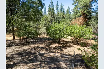 5220 Cosumnes Mine Road, Somerset, CA 95684 - Photo 14