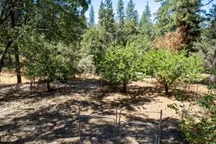 5220 Cosumnes Mine Rd, Somerset, CA 95684 - Photo 14