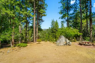 5220 Cosumnes Mine Rd, Somerset, CA 95684 - Photo 8