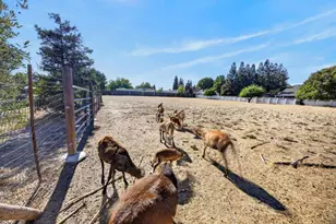109 Delano St, Elverta, CA 95626 - Photo 38