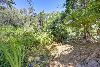 313 Dairy Road, Auburn, CA 95603 - Photo 16