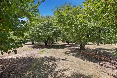 12555 E Comstock Road, Stockton, CA 95215 - Photo 10