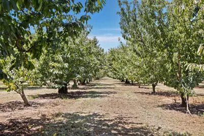 12555 E Comstock Road, Stockton, CA 95215 - Photo 8