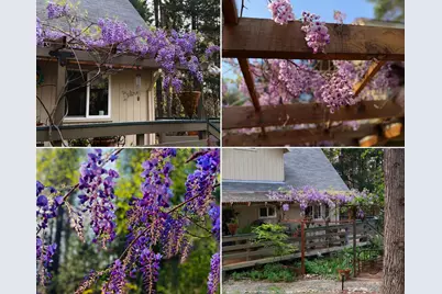 12632 Pinewoods Road, Nevada City, CA 95959 - Photo 20