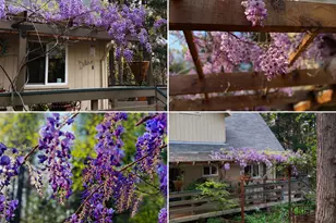 12632 Pinewoods Rd, Nevada City, CA 95959 - Photo 20