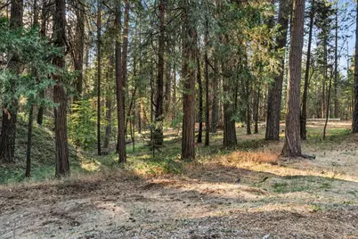 12632 Pinewoods Road, Nevada City, CA 95959 - Photo 48