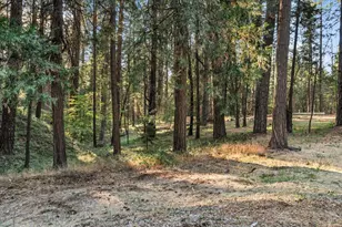 12632 Pinewoods Rd, Nevada City, CA 95959 - Photo 48