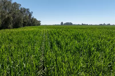 0 August, Hilmar, CA 95324 - Photo 10
