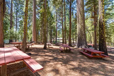 2473 Shoshone Drive, Camp Connell, CA 95223 - Photo 52