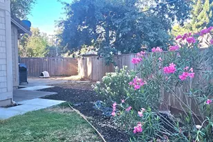 7427 Black Tree Ln, Citrus Heights, CA 95610 - Photo 6