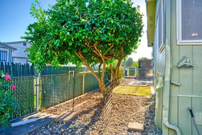 4 Marsh Court, Lodi, CA 95242 - Photo 34