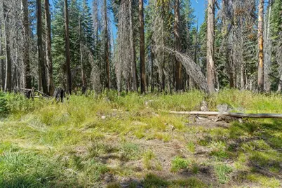 20414 US Highway 50, South Lake Tahoe, CA 96155 - Photo 2