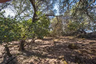 4351 Rossler Rd, Placerville, CA 95667 - Photo 18