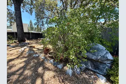 55 Oak Tree Court, Murphys, CA 95247 - Photo 22