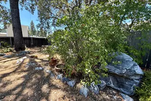 55 Oak Tree Ct, Murphys, CA 95247 - Photo 22