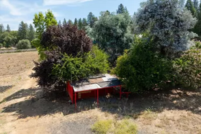 1589 Pleasant Valley Road, Placerville, CA 95667 - Photo 44