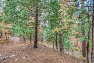 1695 Manzanita Drive, Arnold, CA 95223 - Photo 4