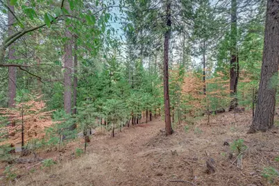 1695 Manzanita Drive, Arnold, CA 95223 - Photo 6