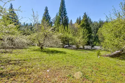 1869 Hwy 4, Arnold, CA 95223 - Photo 54