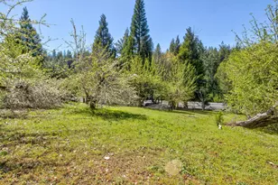 1869 Hwy 4, Arnold, CA 95223 - Photo 54