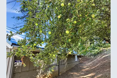 440 Lower Grass Valley Road, Nevada City, CA 95959 - Photo 12