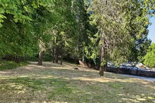 440 Lower Grass Valley Rd, Nevada City, CA 95959 - Photo 14