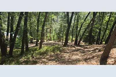 16929 Lawrence Way, Grass Valley, CA 95949 - Photo 4