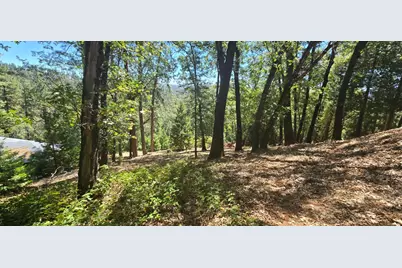 16929 Lawrence Way, Grass Valley, CA 95949 - Photo 8