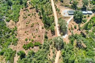 5436 Hawver Rd, Mokelumne Hill, CA 95245 - Photo 6