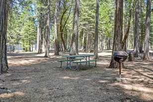 3301 Hazel St, Pollock Pines, CA 95726 - Photo 72