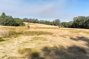 8260 Fairplay Rd, Somerset, CA 95684 - Photo 12