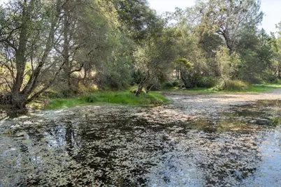 8260 Fairplay Rd, Somerset, CA 95684 - Photo 4