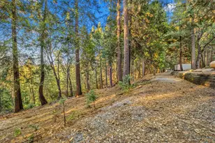 19051 Pine Dr, Pioneer, CA 95666 - Photo 52
